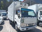 Isuzu 250 -50 gell palate 2013