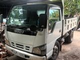 Isuzu 250 ELF Tipper 2005