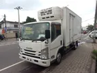 Isuzu Elf 14.5 Freezer 2020