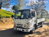 Isuzu Elf 14.5 Lorry 2016