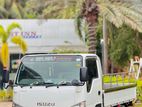 Isuzu Elf 2019