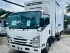 Isuzu Elf -30 2019