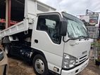 Isuzu Elf dump truck 2019