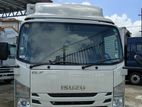 Isuzu Elf freezer 14.5 2019