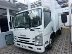 Isuzu Elf Freezer 14.5 2019