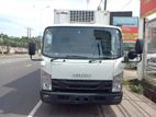 Isuzu Elf FREEZER 14.5 AUTO 2017