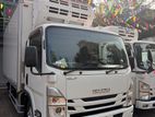Isuzu Elf Freezer 15.5 Feet 2022