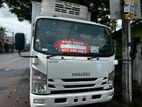 Isuzu Elf Freezer 16.5 Feet 2019