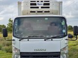 Isuzu Elf Freezer 2011
