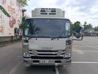 Isuzu Elf Freezer 2013