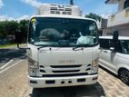Isuzu Elf freezer 2021