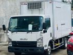 Isuzu Elf Freezer Body 2018