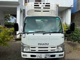 Isuzu Elf Freezer Lorry 2010