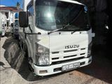 Isuzu Elf Freezer Lorry 2013