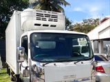 Isuzu Elf Freezer Truck 14.5'' 2014