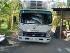 Isuzu Elf Freezer Truck 2011