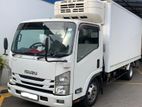 Isuzu Elf Freezer Truck 2015