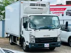 Isuzu Elf Freezer Truck 2017