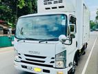 Isuzu Elf freezer truck 2017