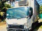 Isuzu Elf Freezer Truck 2018