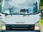 Isuzu Elf Freezer Truck 2018