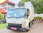 Isuzu Elf Freezer Truck 2019