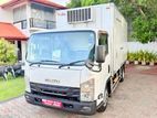 Isuzu Elf Freezer Truck 2019