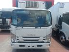 Isuzu Elf Freezer Truck 2019