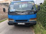 Isuzu Elf Lorry 1983