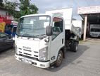 Isuzu Elf NMR85 DUMP TRUCK 1C 2020