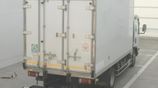 Isuzu Freezer Manual 2020