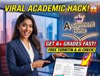 IT Assignment and Project Assistance Service