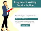 IT Assignment Assistance and Software Development