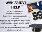 IT Assignment Assistance and Software Development
