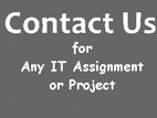 IT Assignment Assistance Service