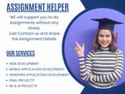 IT Assignment Guidance