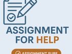 Assignment Help