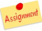 IT Assignment Help – Get Top Grades with Expert Assistance!