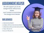 IT Assignment Helping Service