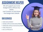 IT Assignment Support