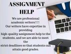 IT Assignment Support Service