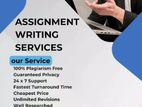 IT Assignment Support Service