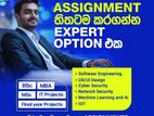 IT Assignment Support Service