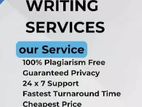 IT Assignment Support Service