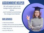 IT Assignment Support Service