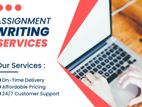 IT Assignment Support Service