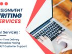 IT Assignment Support Service