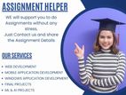 IT Assignment Support Service