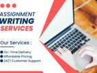 IT Assignment Support Service