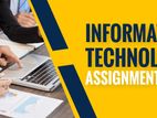 IT Assignment Help